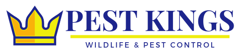 Pest Kings Wildlife & Pest Control Alliston