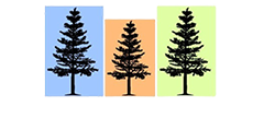 PT Landscaping Inc.