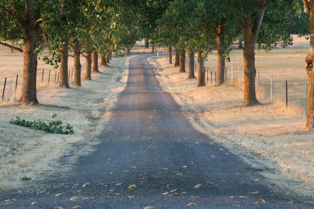 Fresh asphalt road