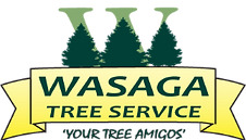 Wasaga Tree Service