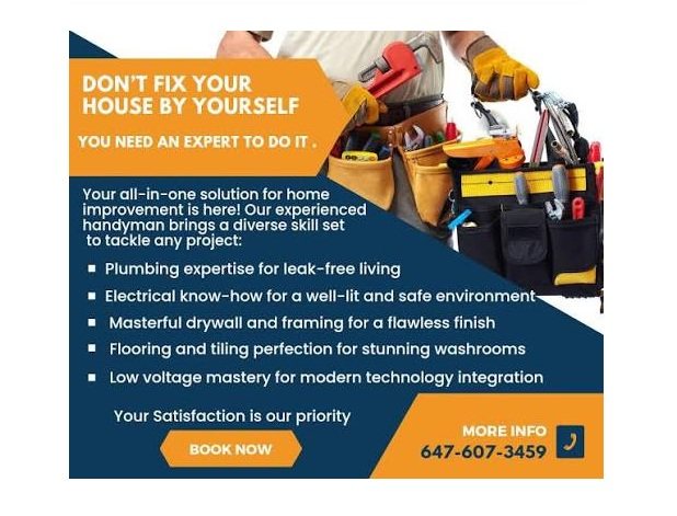 Dan Vo Handyman & House Renovation