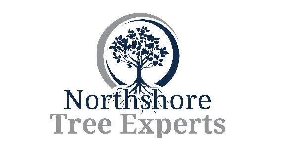 Northshore Tree Experts