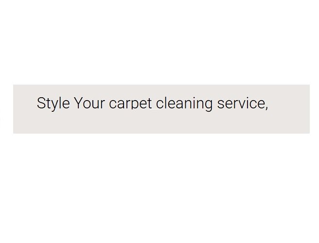 Style Your carpet cleaning service