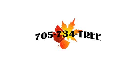The Great Canadian Tree Service
